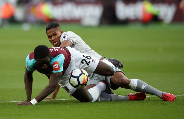 迷的热烈讨 迷的热烈讨