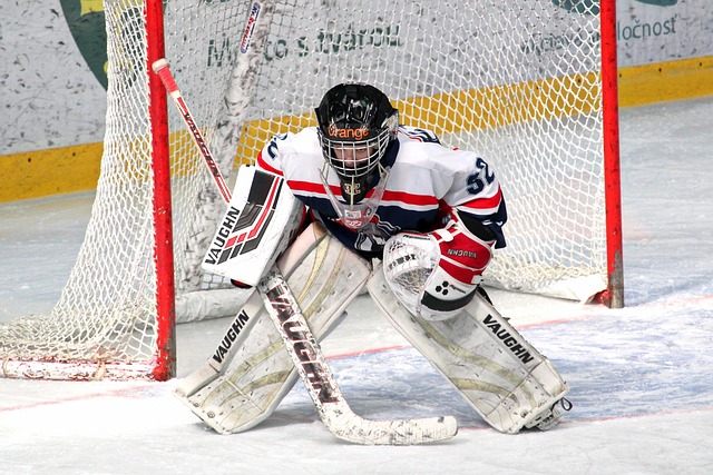 的支持也至 的支持也至