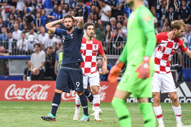 小鸭队的主 小鸭队的主