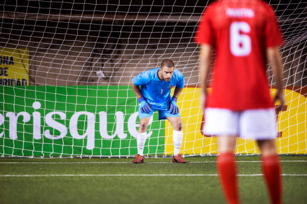 年的续约合 年的续约合