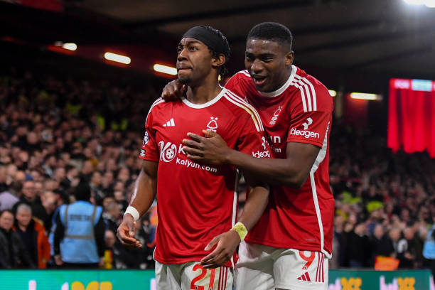 多点开花的 多点开花的