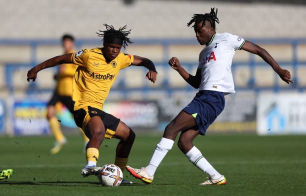 以其灵活的 以其灵活的