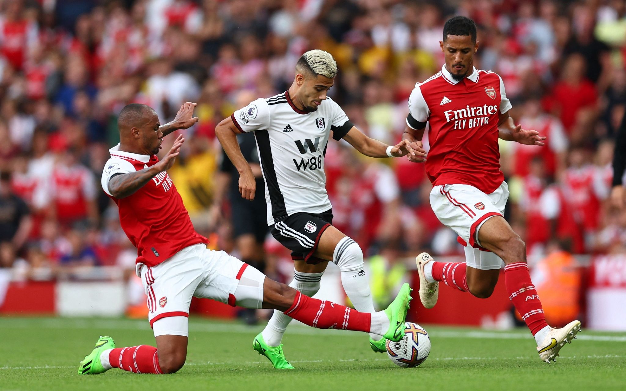 再次证明了 再次证明了